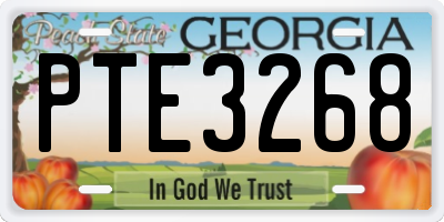 GA license plate PTE3268