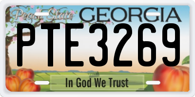 GA license plate PTE3269