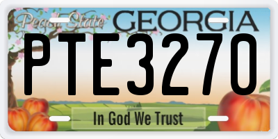 GA license plate PTE3270
