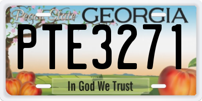 GA license plate PTE3271