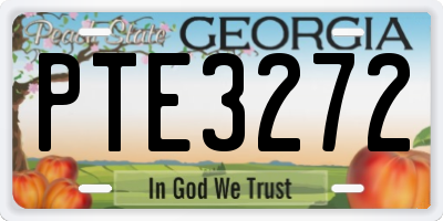 GA license plate PTE3272