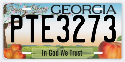 GA license plate PTE3273