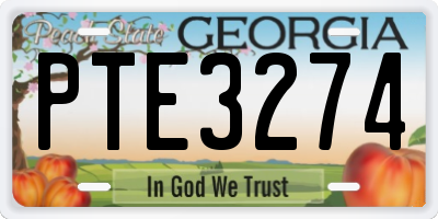 GA license plate PTE3274