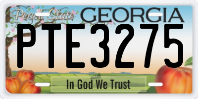 GA license plate PTE3275