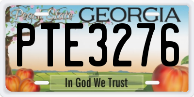 GA license plate PTE3276