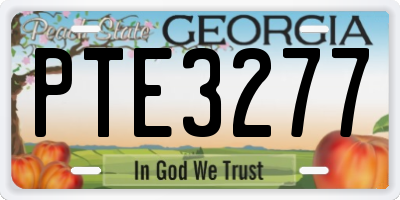 GA license plate PTE3277