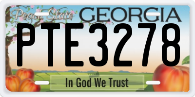 GA license plate PTE3278