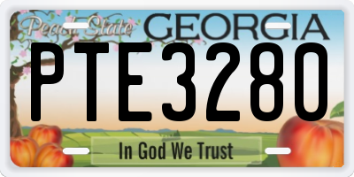 GA license plate PTE3280