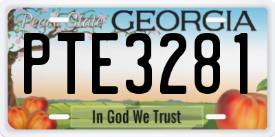 GA license plate PTE3281