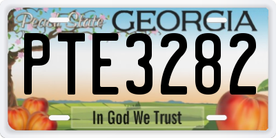 GA license plate PTE3282