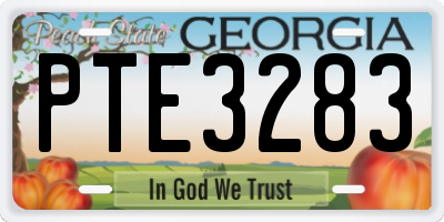 GA license plate PTE3283