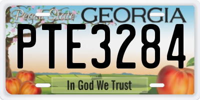 GA license plate PTE3284