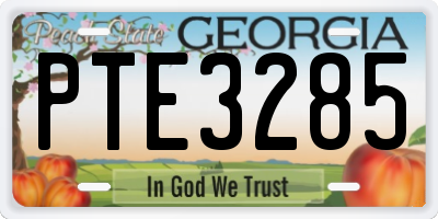 GA license plate PTE3285