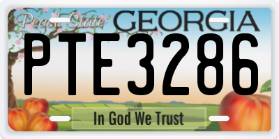 GA license plate PTE3286