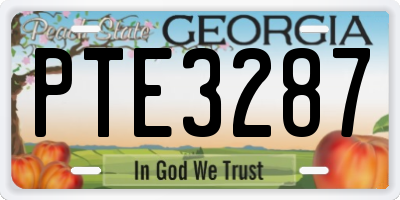 GA license plate PTE3287