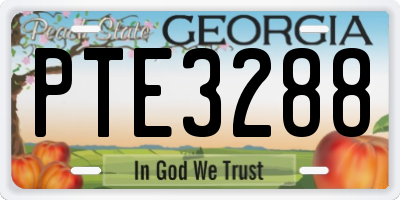 GA license plate PTE3288