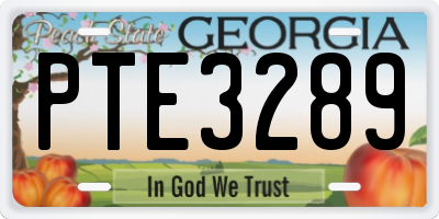 GA license plate PTE3289
