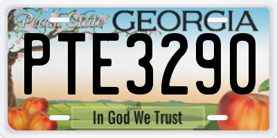 GA license plate PTE3290
