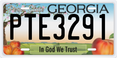 GA license plate PTE3291