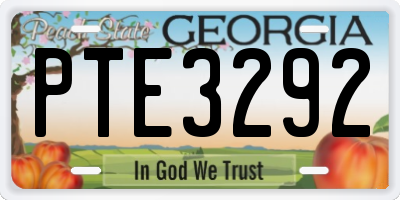 GA license plate PTE3292