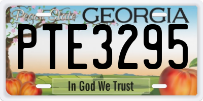 GA license plate PTE3295