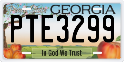 GA license plate PTE3299