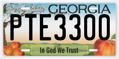 GA license plate PTE3300