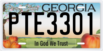 GA license plate PTE3301