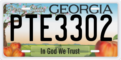 GA license plate PTE3302