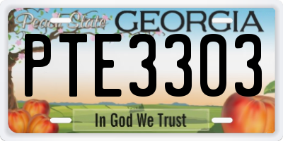 GA license plate PTE3303