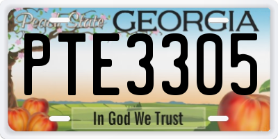 GA license plate PTE3305