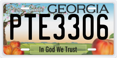 GA license plate PTE3306