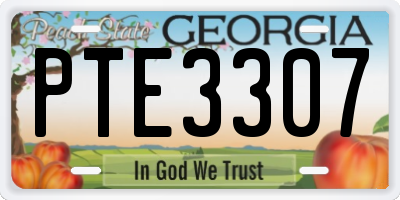 GA license plate PTE3307