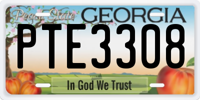GA license plate PTE3308