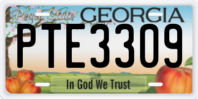 GA license plate PTE3309