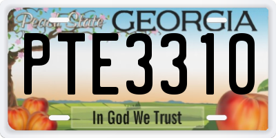 GA license plate PTE3310