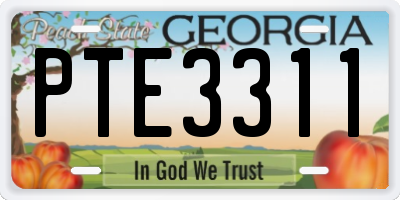 GA license plate PTE3311