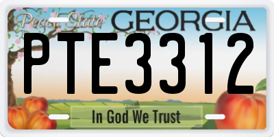 GA license plate PTE3312