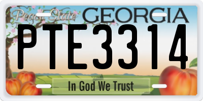 GA license plate PTE3314