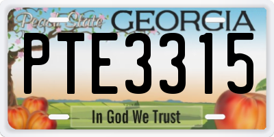 GA license plate PTE3315