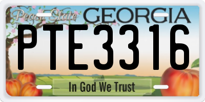 GA license plate PTE3316