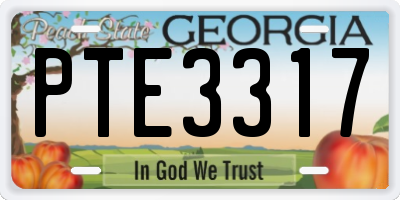 GA license plate PTE3317