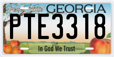 GA license plate PTE3318