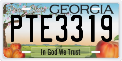 GA license plate PTE3319