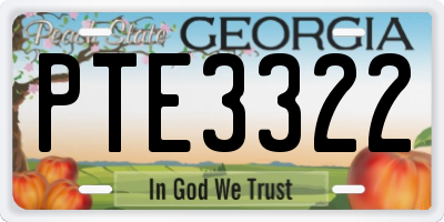 GA license plate PTE3322
