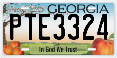 GA license plate PTE3324