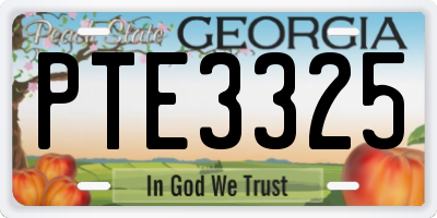 GA license plate PTE3325