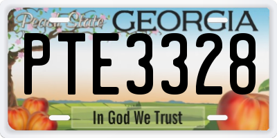GA license plate PTE3328