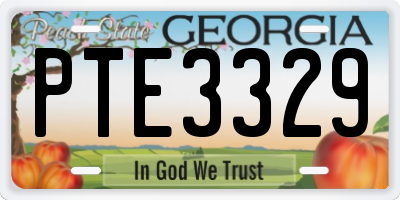GA license plate PTE3329