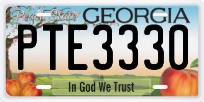GA license plate PTE3330
